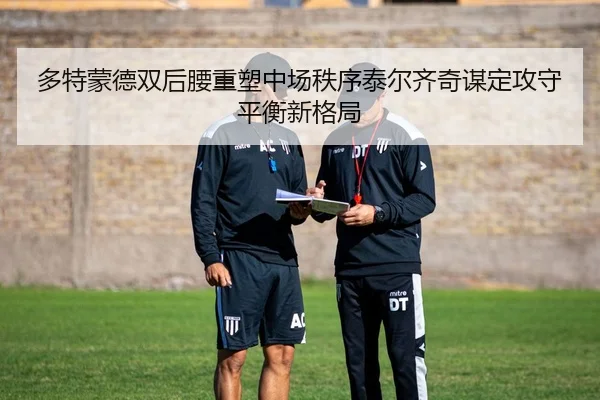 多特蒙德双后腰重塑中场秩序泰尔齐奇谋定攻守平衡新格局
